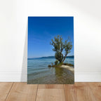 Aluminum wall art print of a majestic tree by a European lake, part of the Nature-Inspired Travel Collection, Studio Edition.