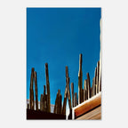 Canvas artwork print of Mexico cactus family scene on rooftop, from the Travel Collection Studio Edition, 20x30 cm.