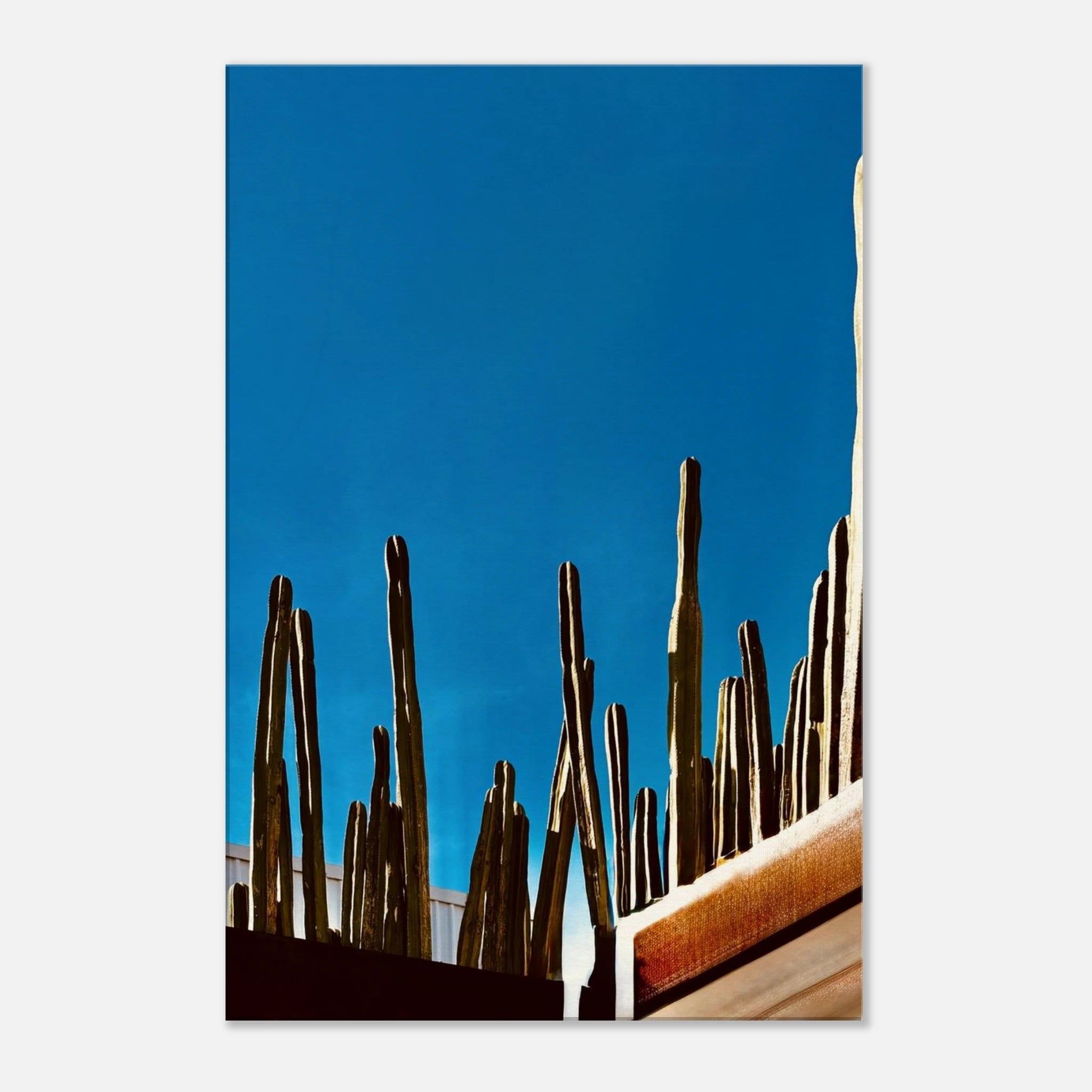 Canvas artwork print of Mexico cactus family scene on rooftop, from the Travel Collection Studio Edition, 20x30 cm.