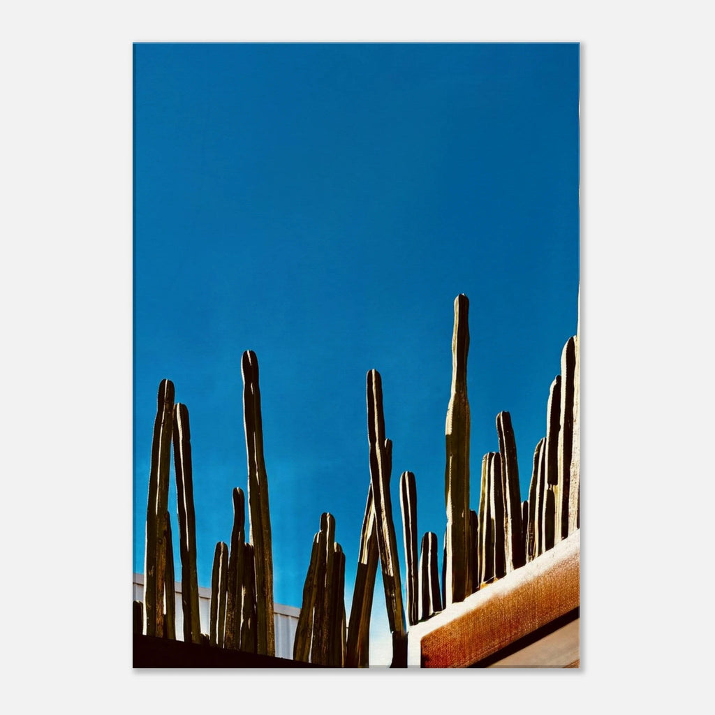 Canvas print of Mexico cactus family on rooftop from Travel Collection, studio edition, showcasing vibrant desert landscape artwork.