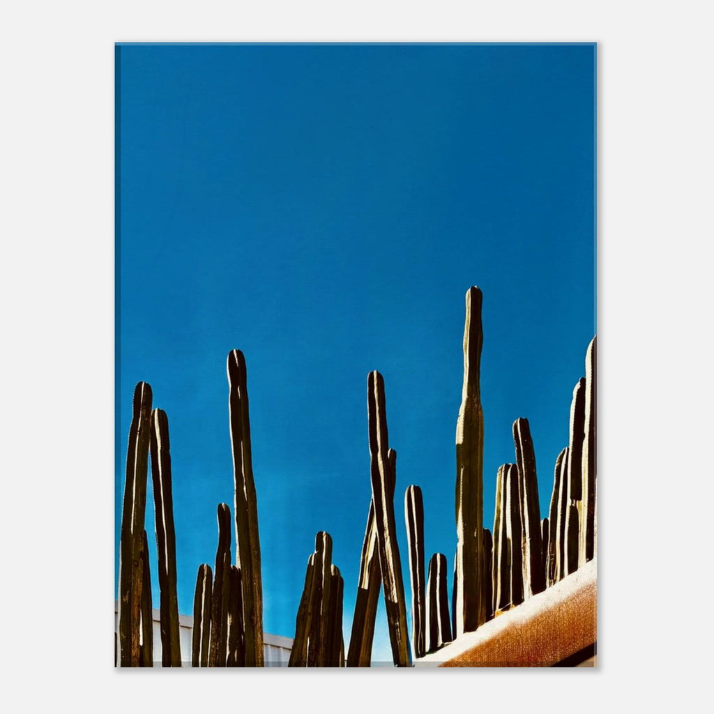 Canvas artwork print of Mexico cactus family on rooftop from the Travel Collection, Studio Edition, featuring vibrant desert scenery.