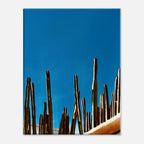 Canvas artwork print of Mexico cactus family on rooftop from the Travel Collection, Studio Edition, featuring vibrant desert scenery.