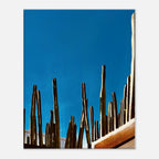 Canvas artwork print of Mexico Cactus Family on rooftop, part of the Travel Collection Studio Edition, Spring 26.