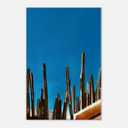 Canvas print of Mexico cactus family on rooftop, part of the Travel Collection Studio Edition, Spring '26, by My Store.