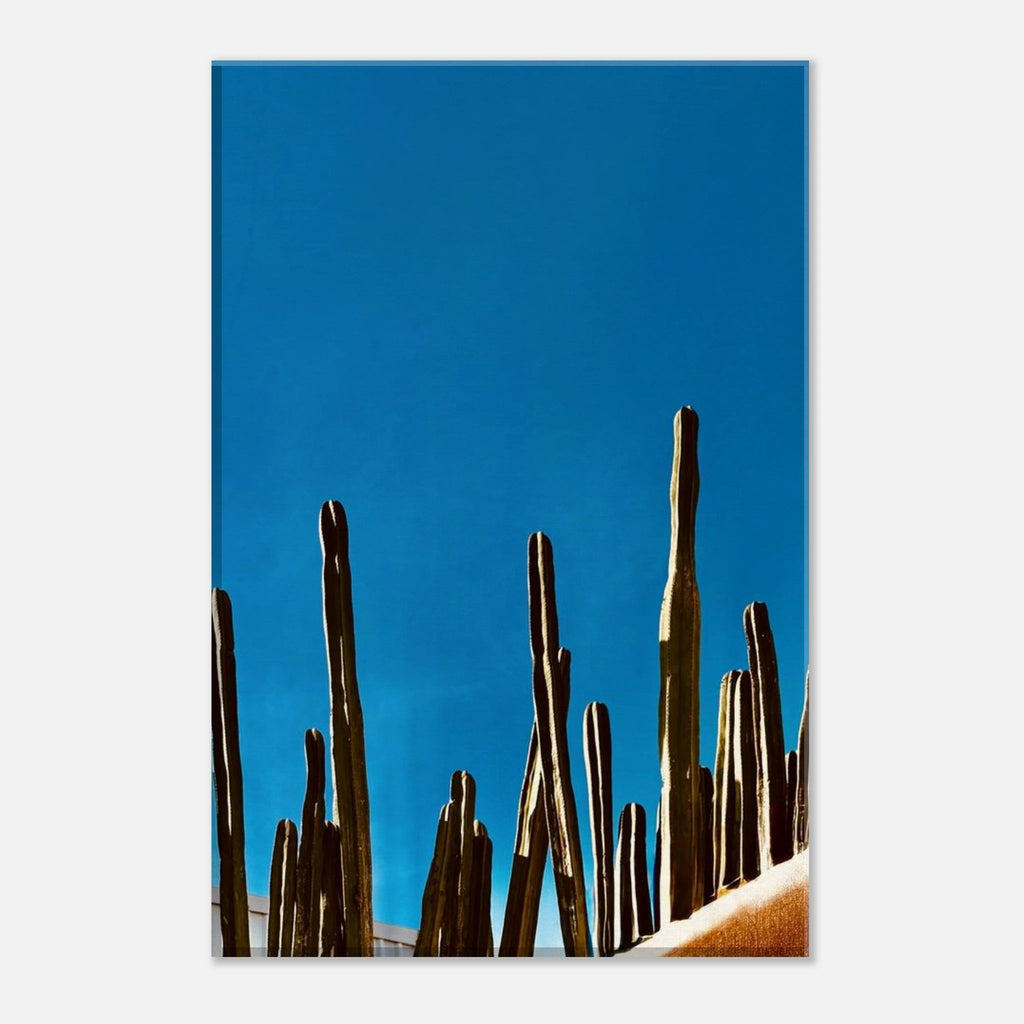 Canvas print of a cactus family scene on a rooftop from Mexico, part of the Travel Collection Studio Edition by My Store.