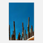 Canvas print of a cactus family scene on a rooftop from Mexico, part of the Travel Collection Studio Edition by My Store.