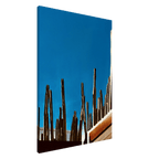 Mexico cactus family rooftop canvas artwork from the Travel Collection Studio Edition, 20x30cm print by My Store.