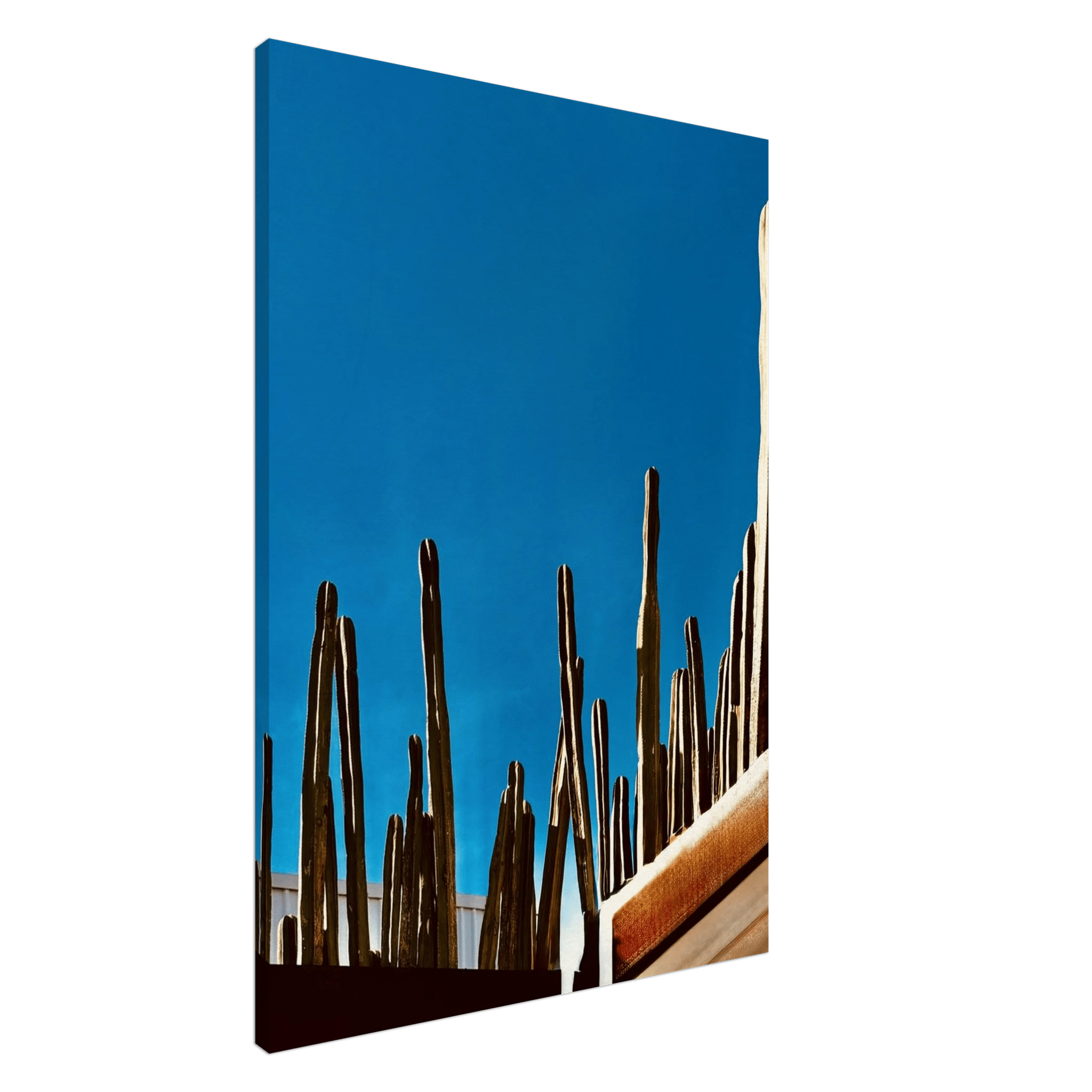 Mexico cactus family rooftop canvas artwork from the Travel Collection Studio Edition, 20x30cm print by My Store.