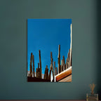 Canvas print of Mexico cactus family on rooftop, part of My Store's travel collection, Studio Edition Spring 26, 20x30 cm.