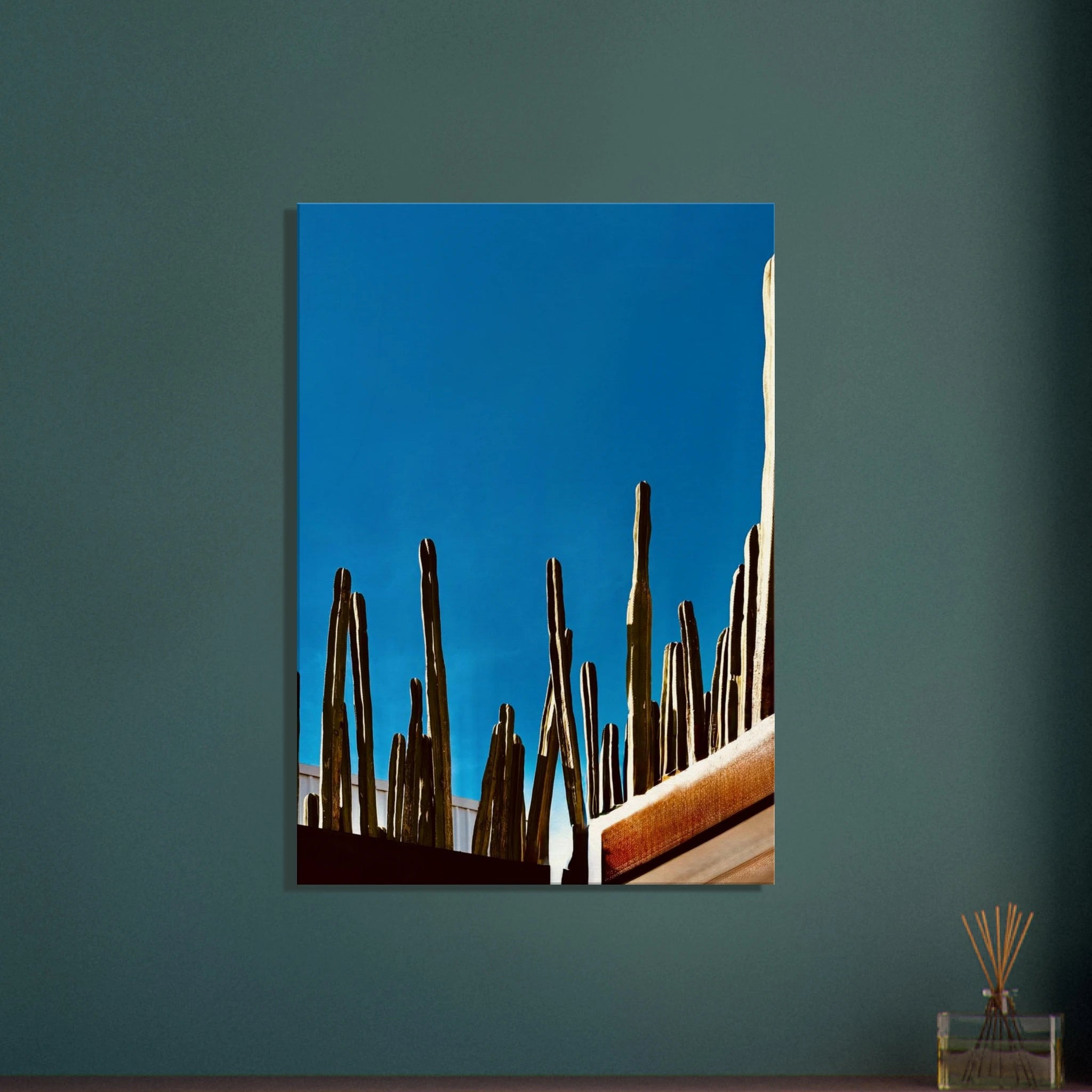 Canvas print of Mexico cactus family on rooftop, part of My Store's travel collection, Studio Edition Spring 26, 20x30 cm.