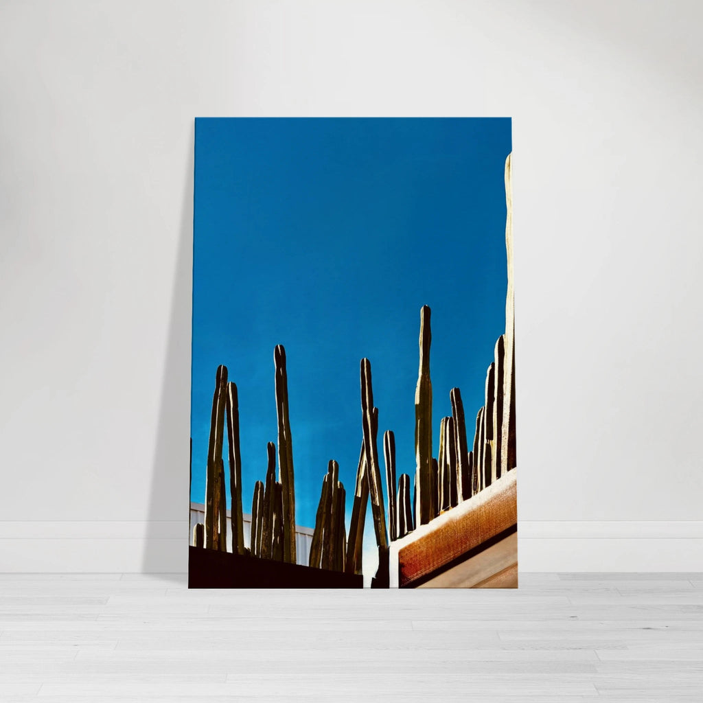 Canvas print of a Mexico cactus family on a rooftop, from the Studio Edition travel collection, 20x30 cm artwork.