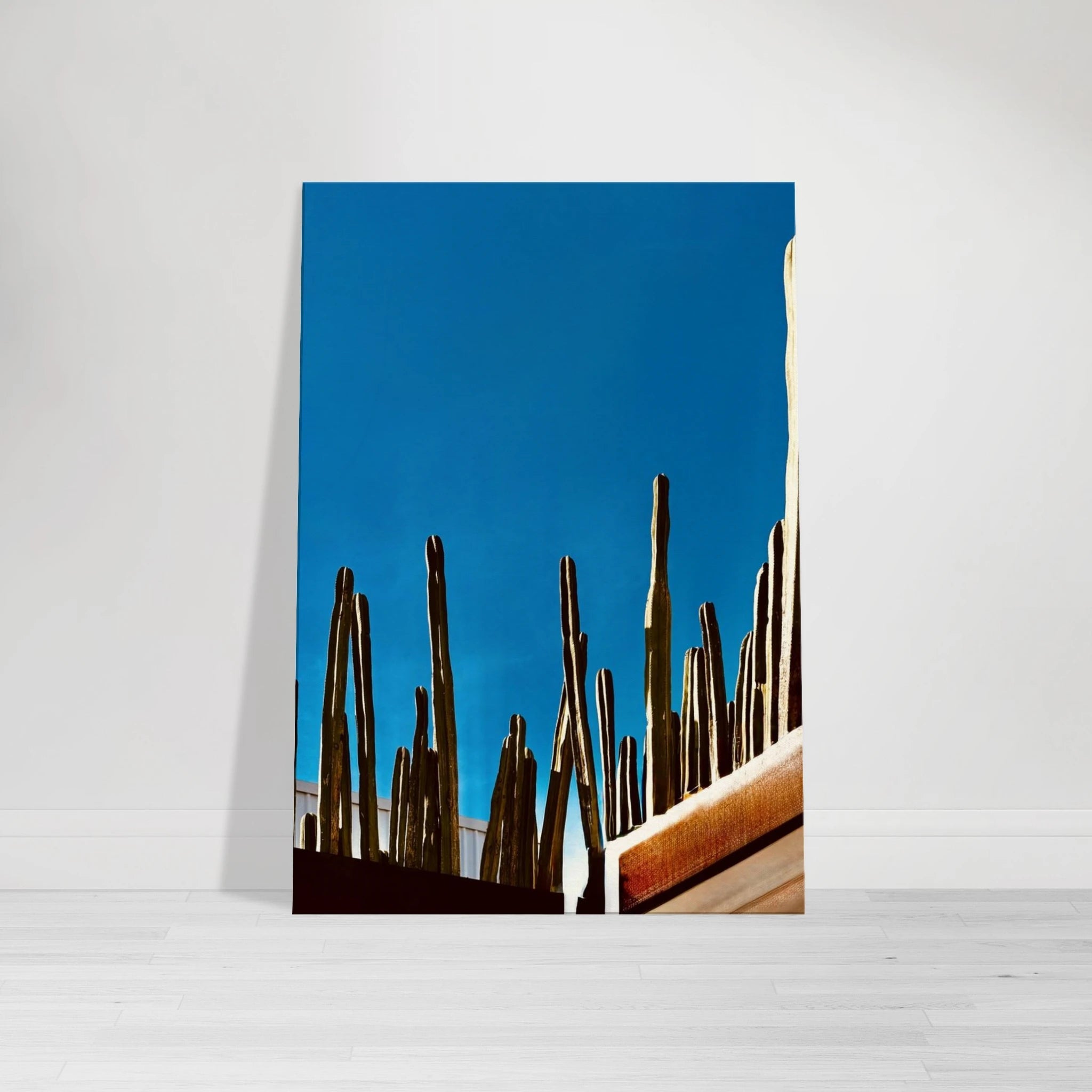 Canvas print of a Mexico cactus family on a rooftop, from the Studio Edition travel collection, 20x30 cm artwork.