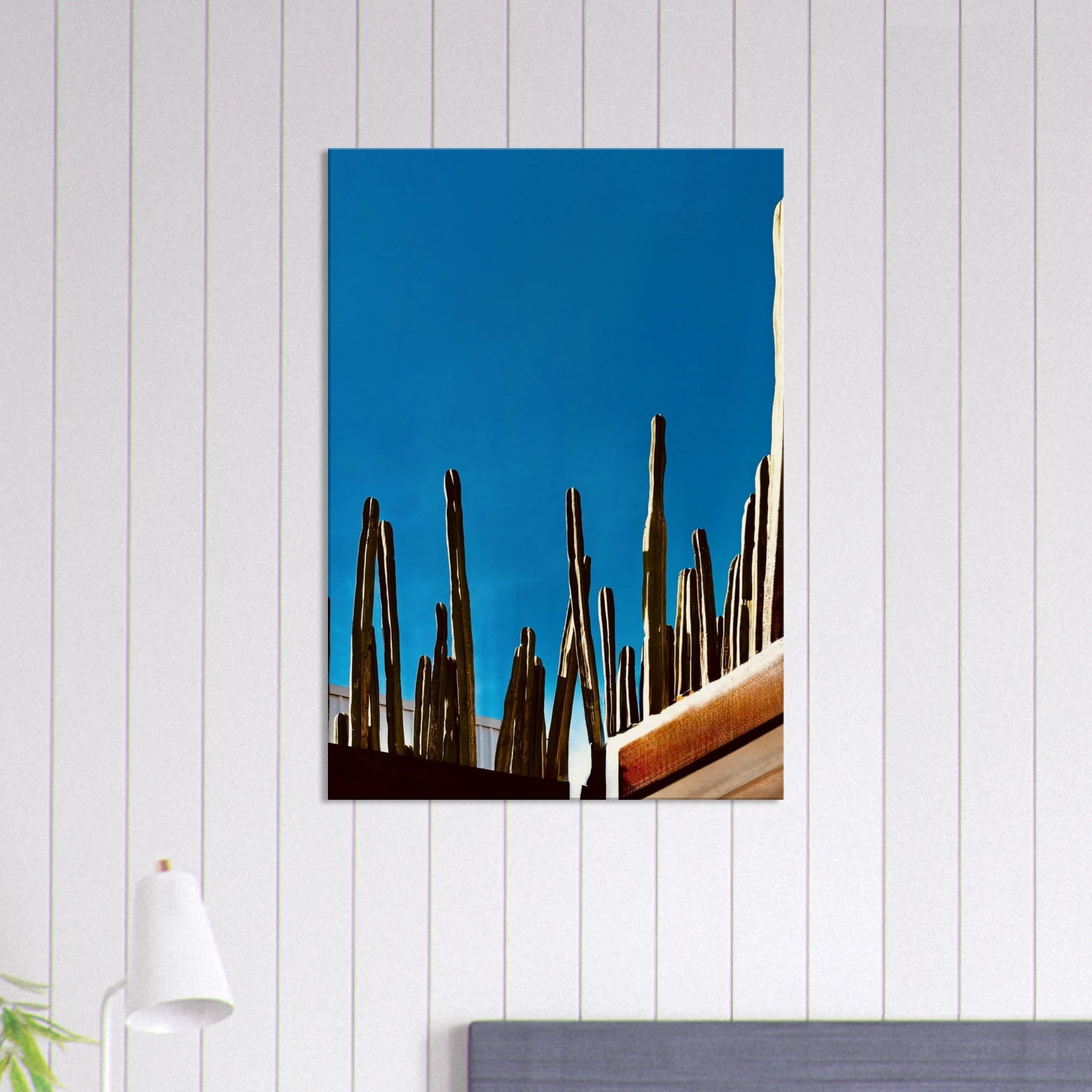 Mexico cactus family rooftop canvas artwork print from the Travel Collection Studio Edition, showcasing vibrant desert scene.