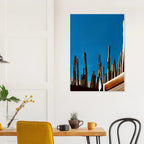 Canvas print of Mexico’s cactus family on a rooftop, part of the Travel Collection Studio Edition, Spring 26, by My Store.