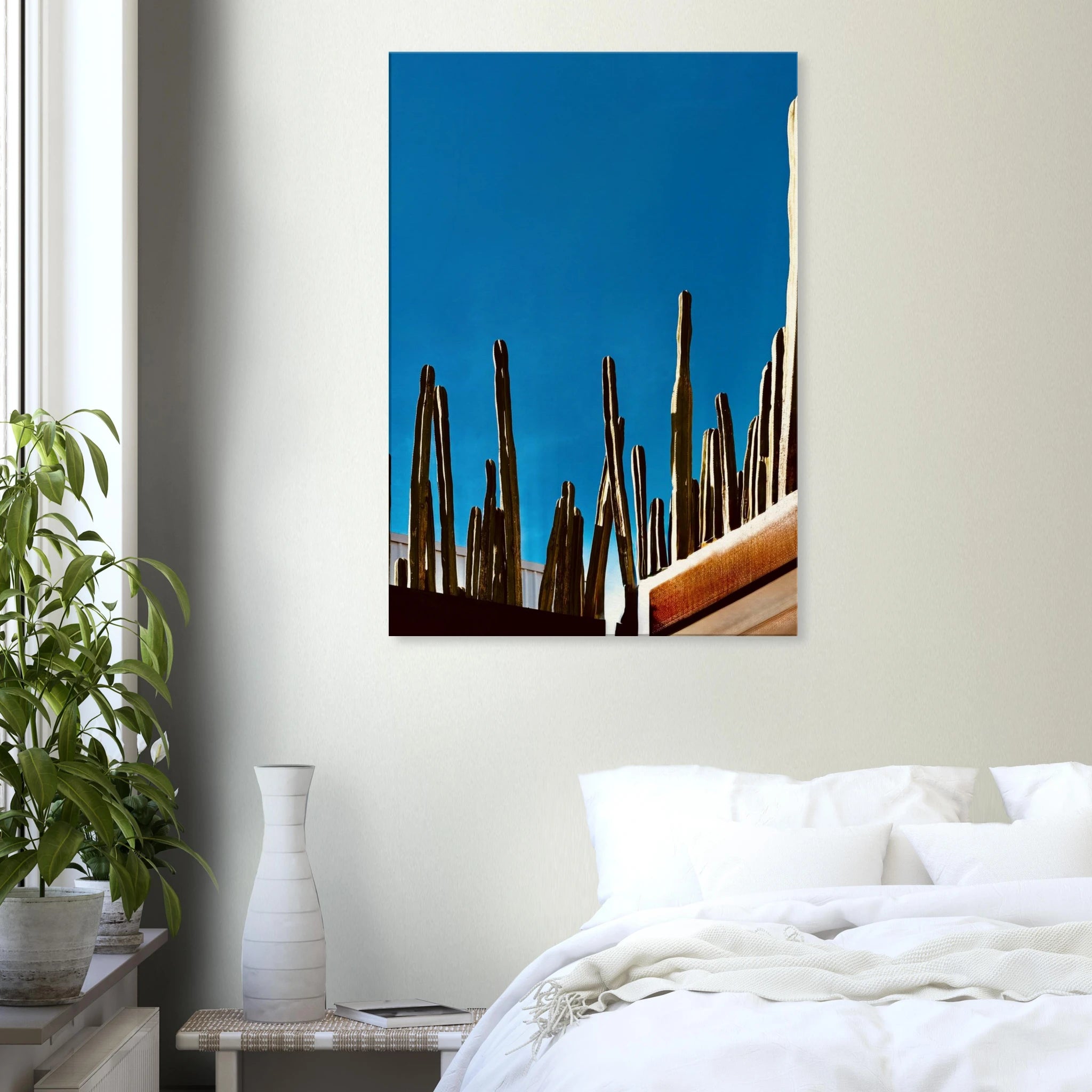 Canvas artwork print of Mexico cactus family on rooftop, part of the Travel Collection Studio Edition, Spring 26.