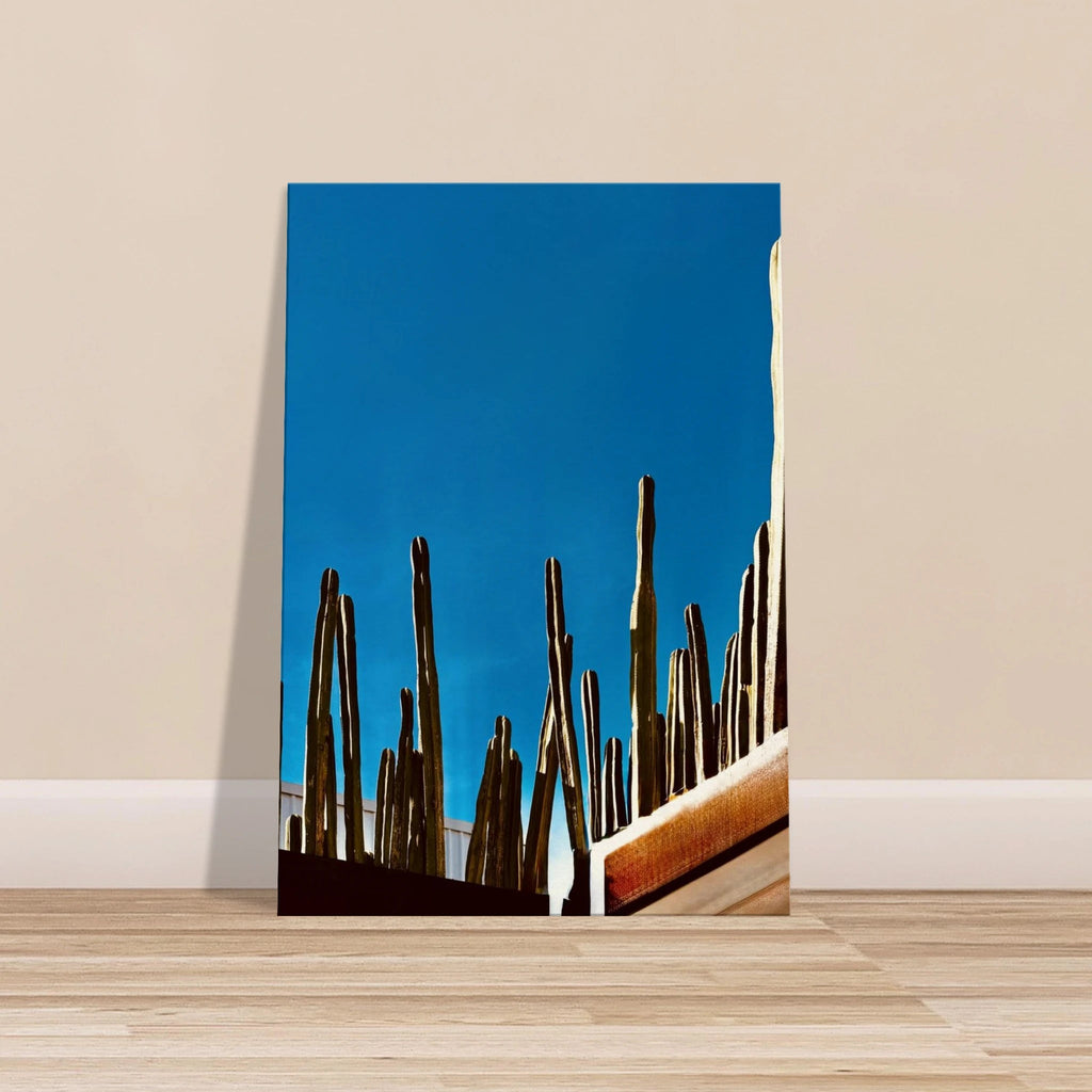 Canvas artwork print featuring Mexico cactus family on rooftop, part of the Studio Edition Travel Collection, Spring 26.