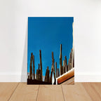 Mexico cactus family rooftop canvas artwork print, travel collection studio edition, vibrant desert scene in 20x30 cm size.