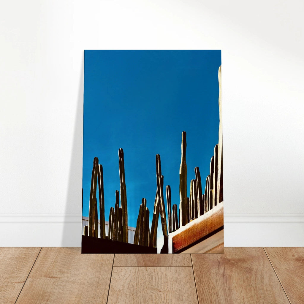 Canvas print of Mexico cactus family on rooftop, part of the Studio Edition Travel Collection, featuring vibrant desert scenery.