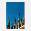 Canvas print of Mexico cactus family on rooftop, part of My Store's Travel Collection Studio Edition Spring 26, 20x30 cm artwork.