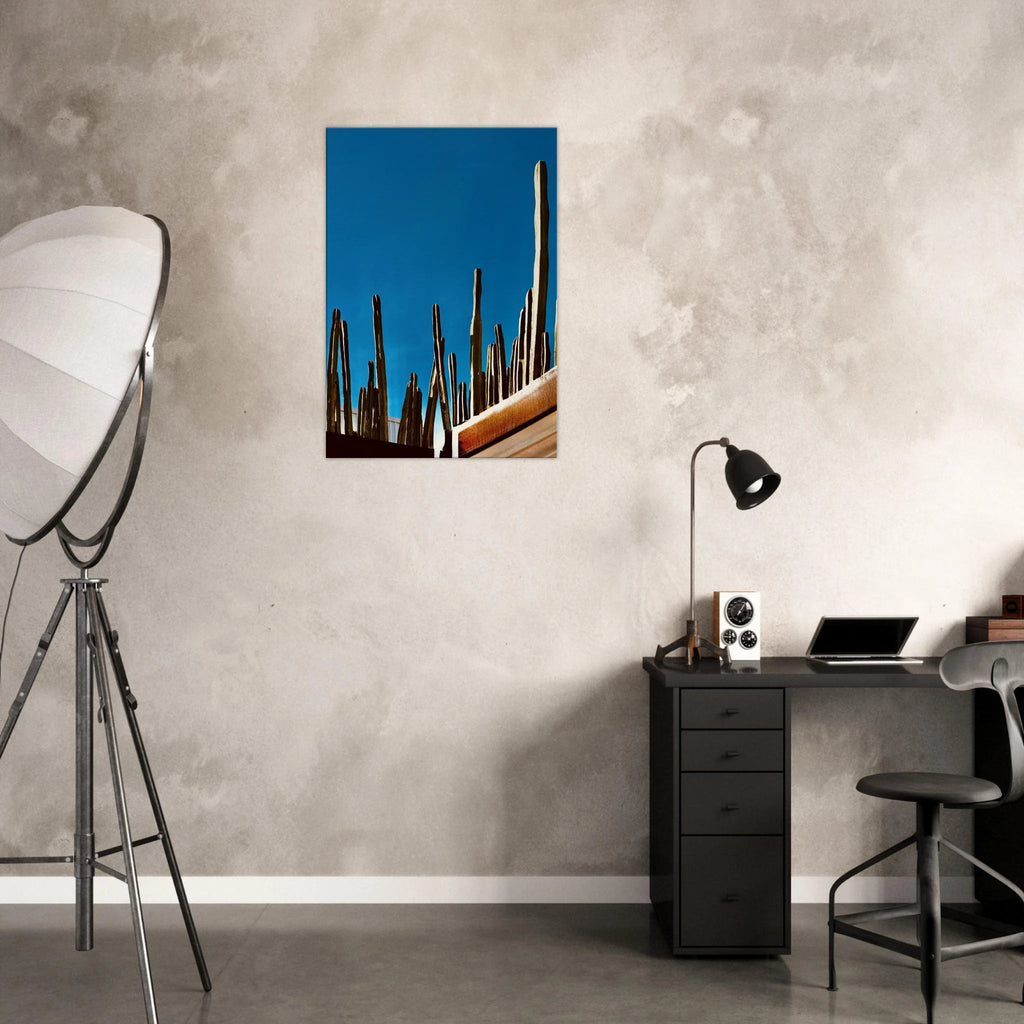 Mexico cactus family rooftop canvas artwork from the Travel Collection Studio Edition, depicting desert plants in vibrant colors.