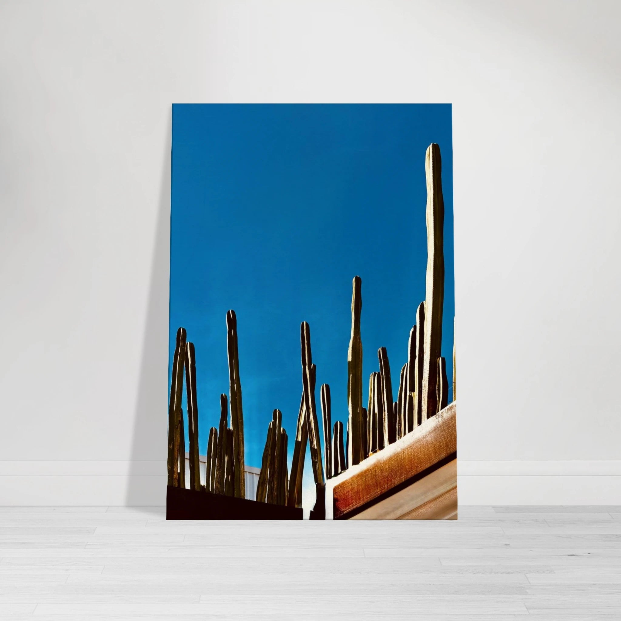Canvas print of Mexico cactus family on rooftop from the Travel Collection Studio Edition, featuring vibrant desert landscape artwork.