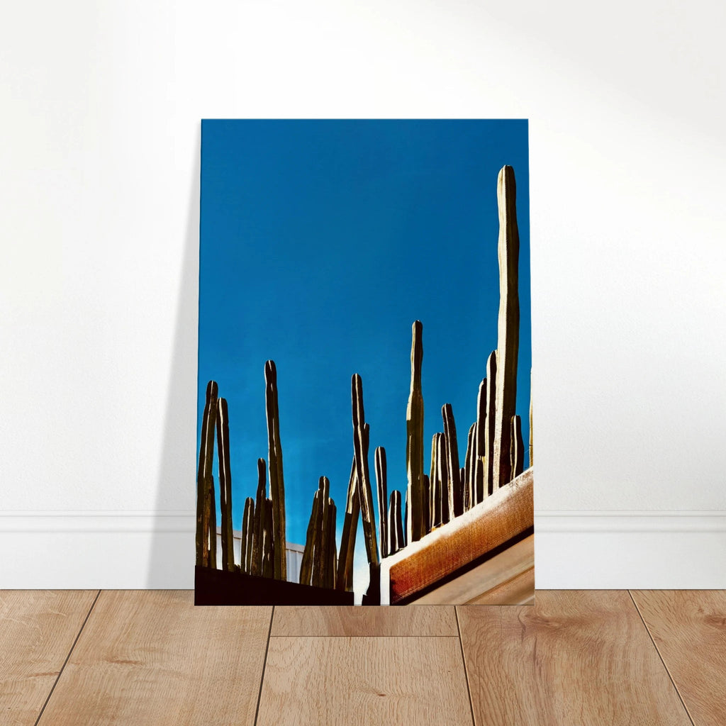 Canvas print of Mexico cactus family on rooftop from My Store's Travel Collection Studio Edition, Spring 26, showcasing vibrant desert scenery.