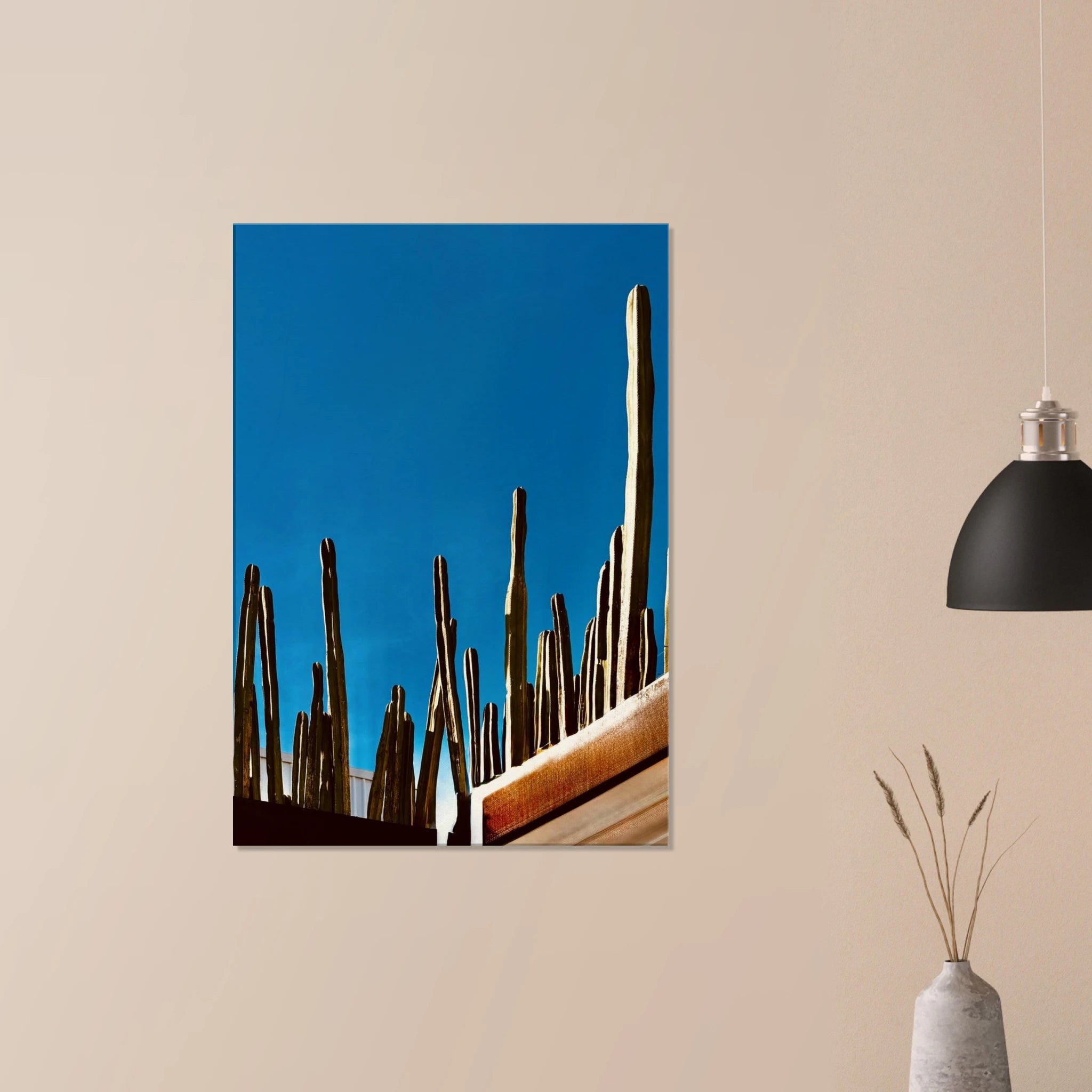 Canvas artwork print of Mexico cactus family on rooftop, part of My Store's Spring 26 travel collection, 20x30 cm.