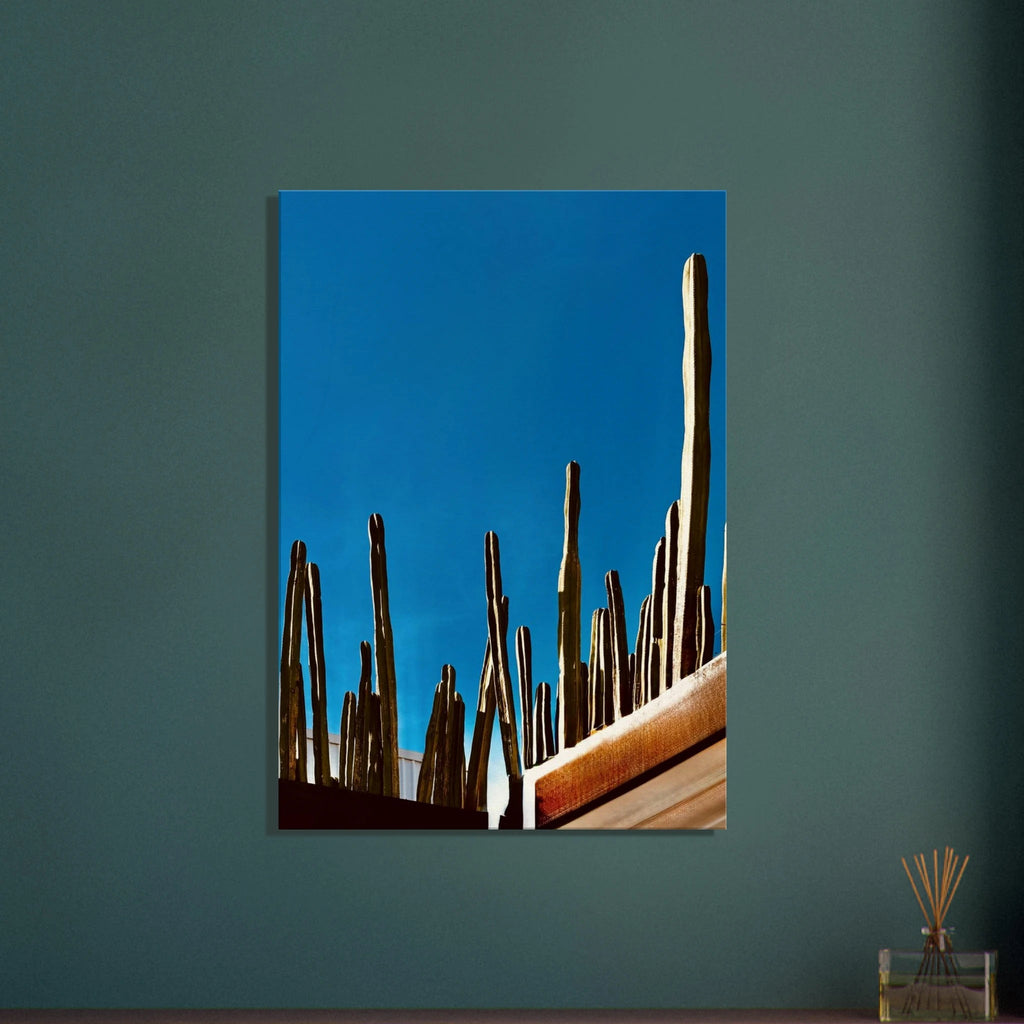 Canvas print of Mexico cactus family on rooftop, part of the Travel Collection Studio Edition, featuring vibrant cactus artwork.