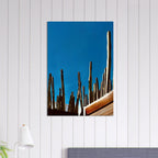 Mexico cactus family rooftop canvas artwork print, travel collection Studio Edition Spring 26, featuring desert plants and vibrant colors.