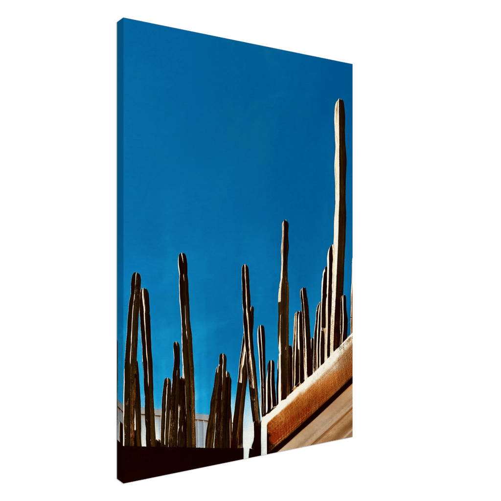 Mexico cactus family rooftop canvas artwork print, part of Travel Collection Studio Edition, Spring 26, showcasing vibrant desert plants.