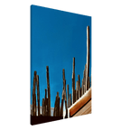 Mexico cactus family rooftop canvas artwork print, part of Travel Collection Studio Edition, Spring 26, showcasing vibrant desert plants.