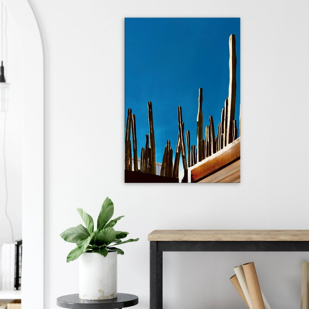 Canvas print of Mexico cactus family on rooftop, part of Studio Edition Travel Collection, Spring 26, featuring vibrant desert landscape artwork.
