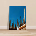 Mexico Cactus Family on Rooftop canvas artwork print, part of the Travel Collection Studio Edition, spring 2026.