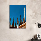Canvas print of Mexico cactus family on rooftop, part of My Store's travel collection studio edition, 20x30 cm.