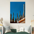 Canvas artwork print of Mexico cactus family on rooftop, part of Studio Edition Travel Collection, 20x30 cm.
