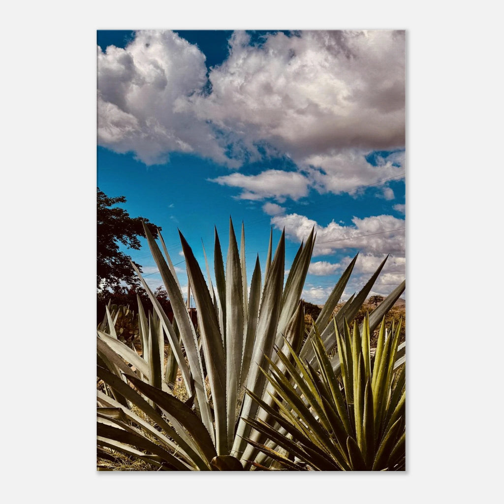 Oaxaca Desert canvas artwork depicting a mezcal plantation from the Travel Collection Studio Edition.