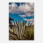 Canvas artwork depicting the Oaxaca Desert and mezcal plantation from the Spring '26 travel collection by My Store.