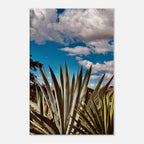 Oaxaca Desert canvas artwork featuring mezcal plantation from the Spring '26 travel collection by My Store.