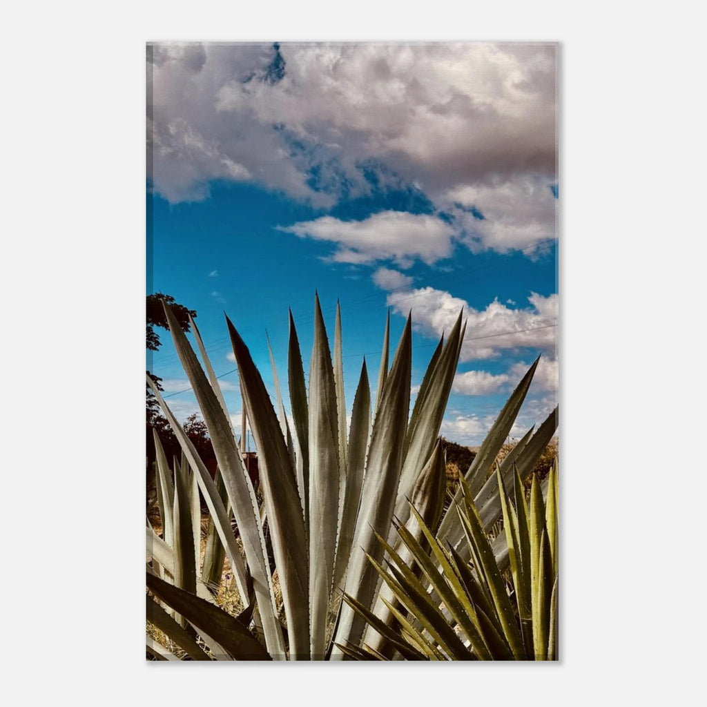 Canvas artwork depicting the Oaxaca Desert mezcal plantation from the Travel Collection by My Store, Spring '26 edition.