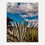 Canvas artwork of Oaxaca Desert mezcal plantation from Travel Collection, Studio Edition, featuring vibrant colors and details.