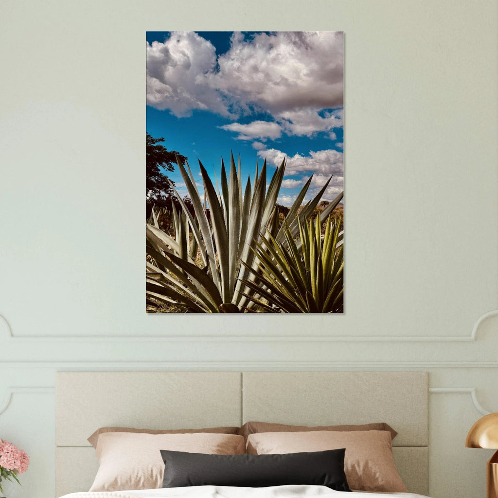 Stunning canvas artwork of Oaxaca Desert mezcal plantation from travel collection, Spring '26 edition.