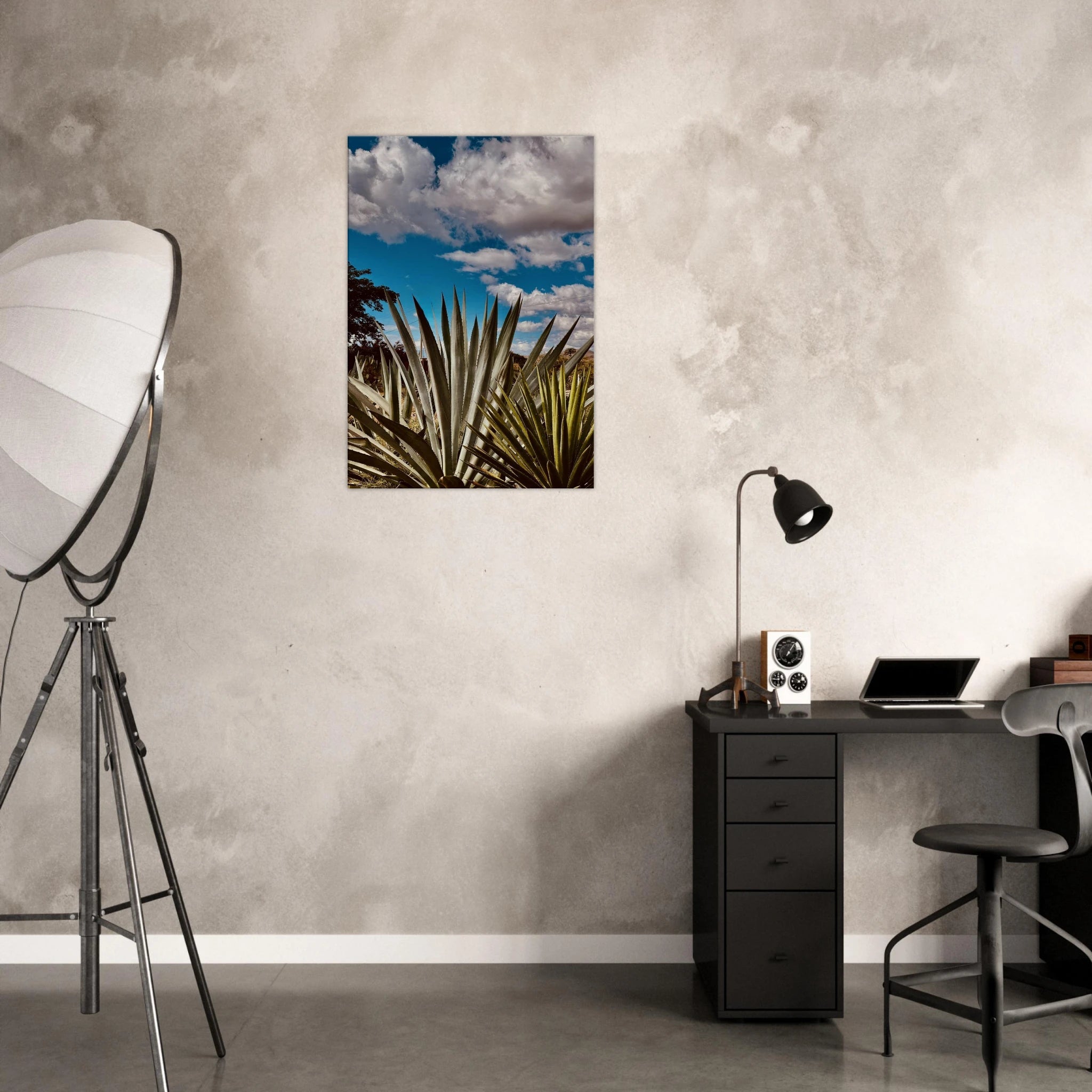 Oaxaca Desert canvas artwork featuring mezcal plantation from the Spring '26 travel collection by My Store.
