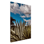 Oaxaca Desert canvas artwork featuring mezcal plantation, part of travel collection studio edition, Spring '26.