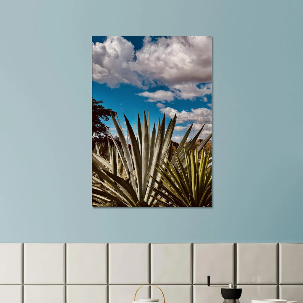 Vibrant canvas artwork of Oaxaca Desert mezcal plantation from the travel collection, Studio Edition, Spring '26.