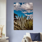 Oaxaca Desert canvas artwork featuring a mezcal plantation from the travel collection, vibrant colors and detailed scenery.