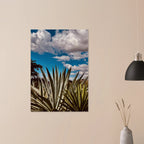 Oaxaca Desert canvas artwork featuring mezcal plantation from Spring' 26 travel collection by My Store.