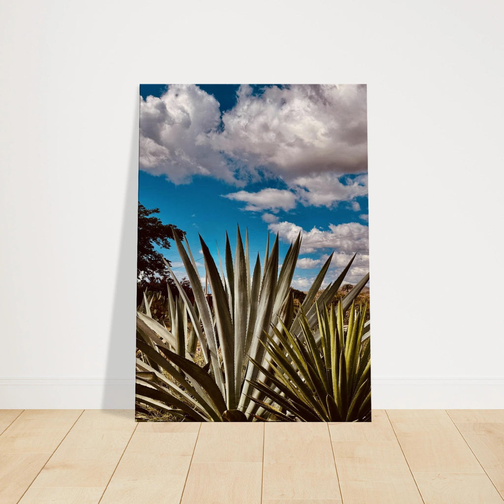 Oaxaca Desert canvas artwork featuring mezcal plantation from the Spring '26 travel collection by My Store.