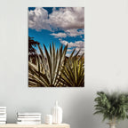 Canvas artwork of Oaxaca Desert mezcal plantation from the Travel Collection, Studio Edition, Spring '26.