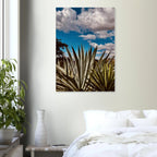 Oaxaca Desert canvas artwork featuring mezcal plantation from Spring 26 travel collection by My Store.