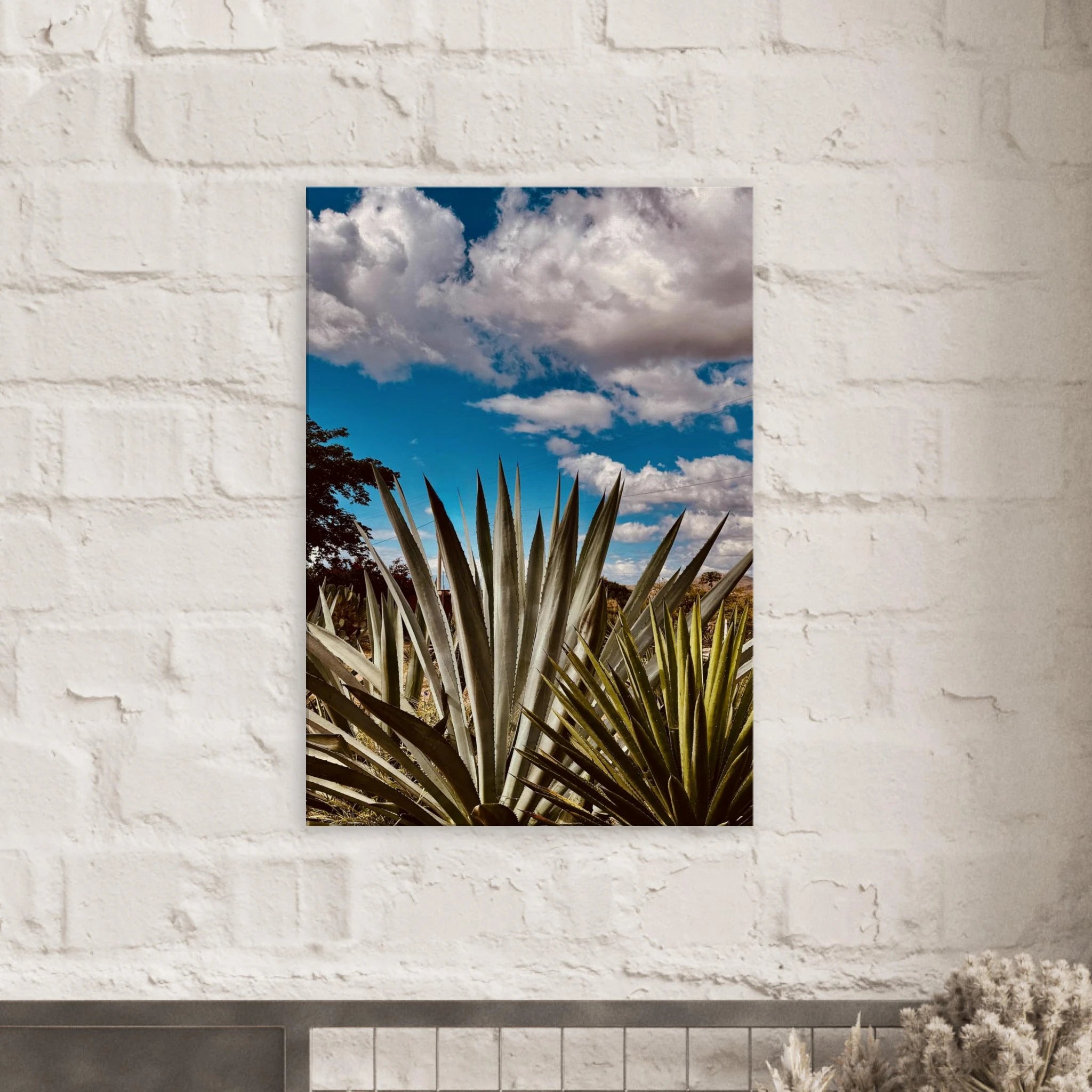 Canvas artwork of Oaxaca Desert mezcal plantation from Travel Collection Studio Edition, Spring '26.